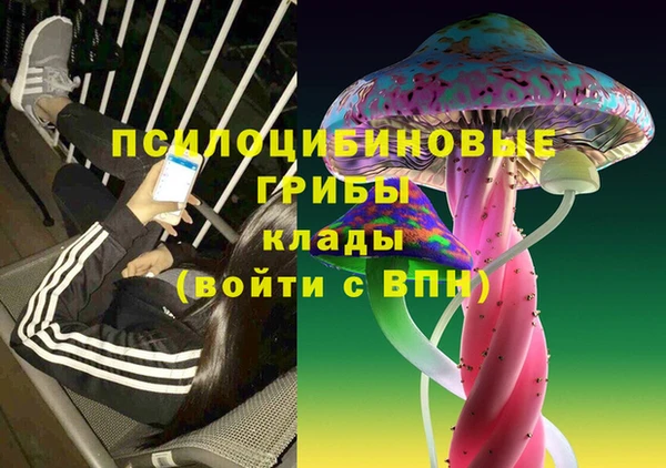 кристаллы Козловка