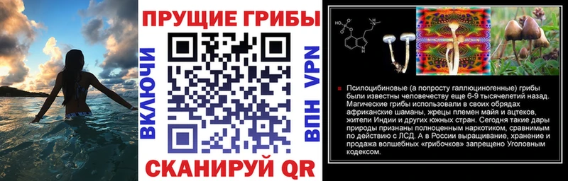 Купить  Изобильный  Галлюциногенные грибы MAGIC MUSHROOMS 